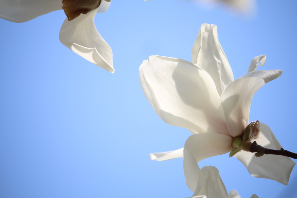 C92A0C9D-C68C-40FA-A459-0F99741138B1