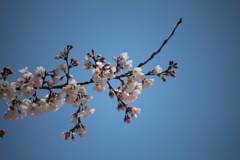 D3F88467-E96E-438C-B12A-40B791E179BC