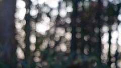 IMG_8494