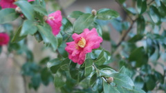 P1160732