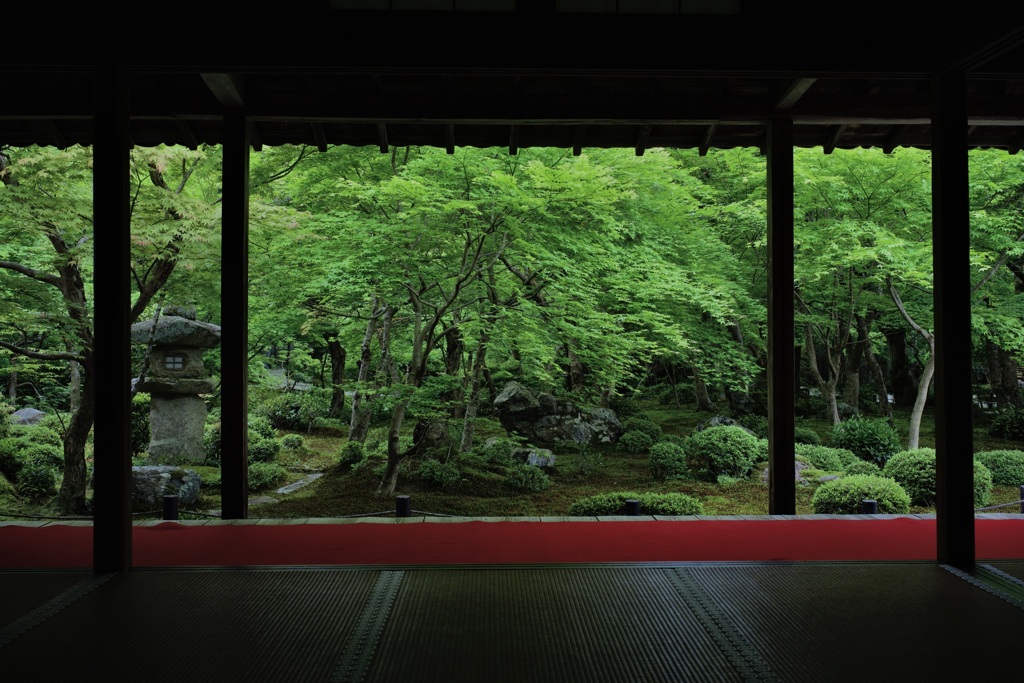 圓光寺 十牛之庭