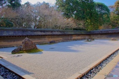 龍安寺 石庭