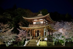 勧修寺 観音堂