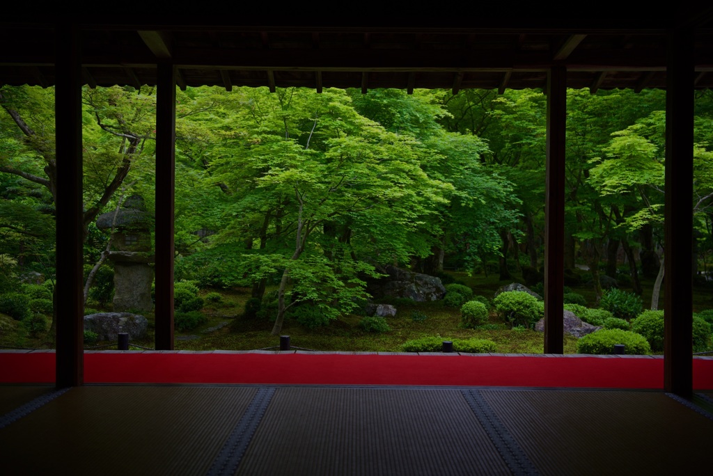 圓光寺 十牛之庭