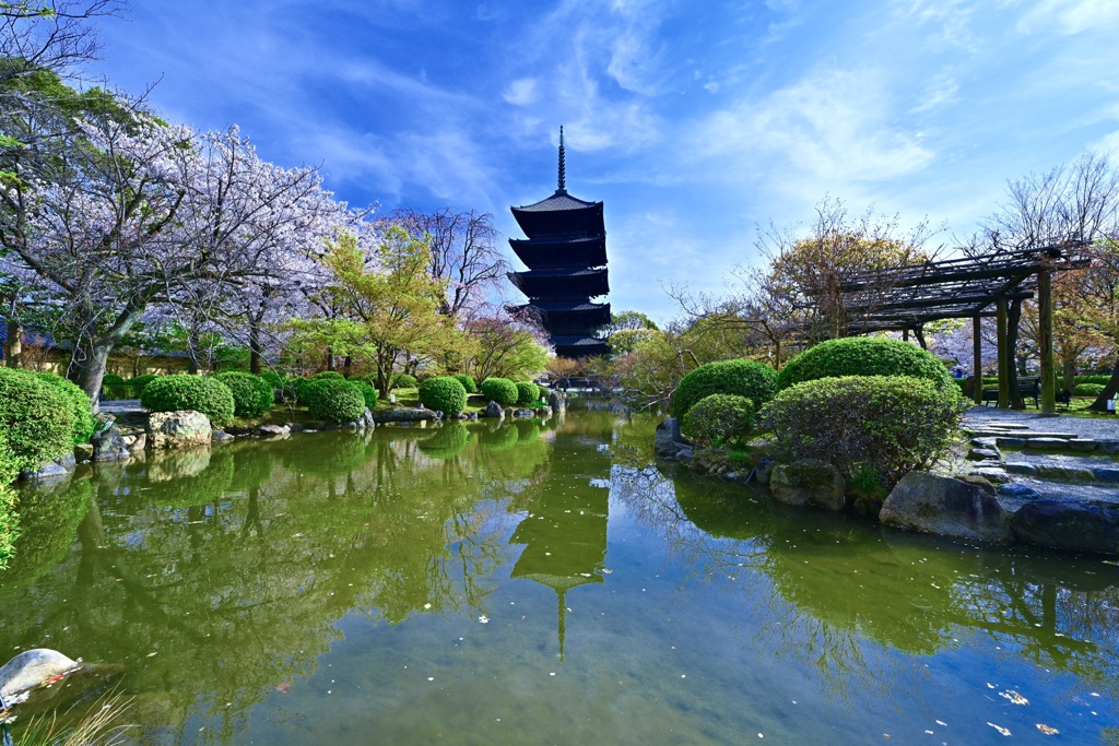 東寺 五重塔と瓢箪池