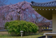 醍醐寺 霊宝館