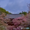 醍醐寺 参道