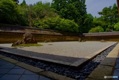 龍安寺 石庭・盛夏