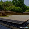 龍安寺 石庭・盛夏
