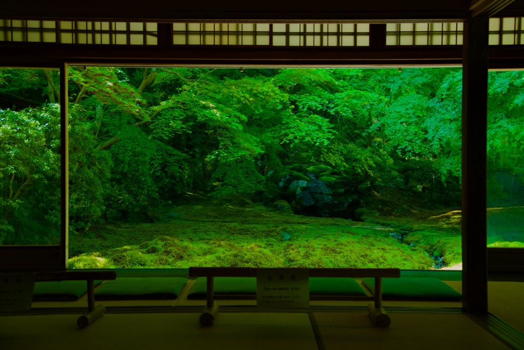 瑠璃光院 書院 瑠璃の庭