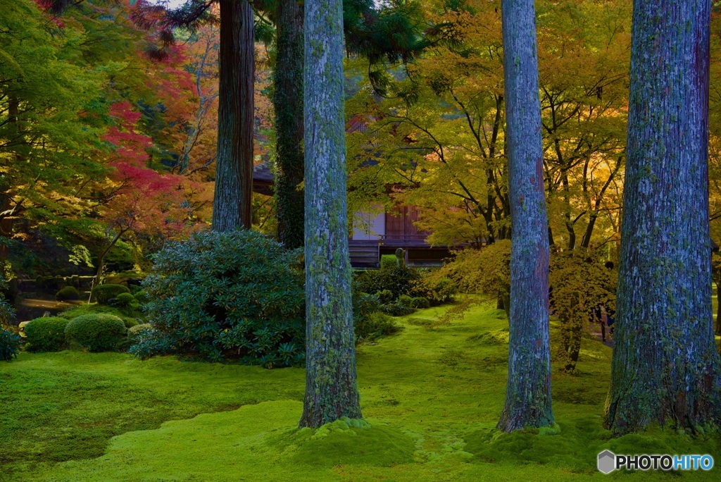 三千院 有清園