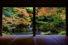 蓮華寺 庭園