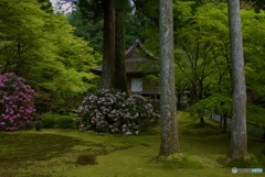 三千院 有清園