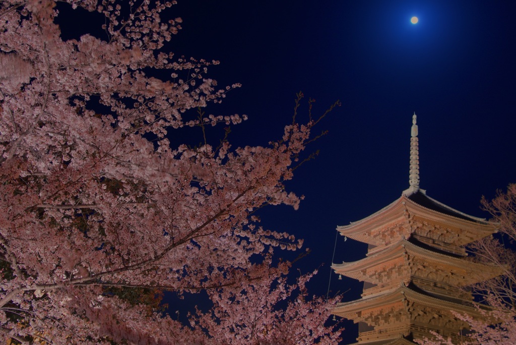 東寺 五重塔
