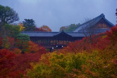 東福寺 臥雲橋 眺望