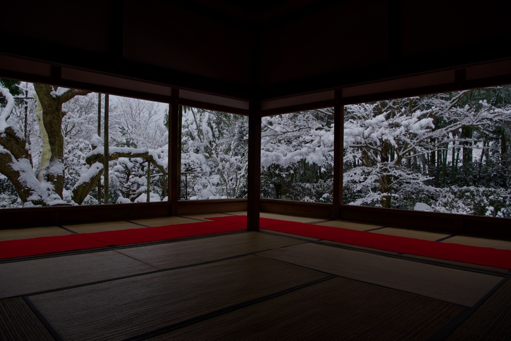 宝泉院 盤桓園・雪景