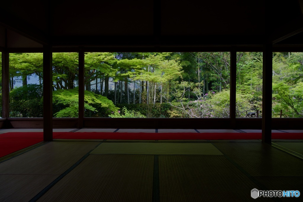 宝泉院 盤桓園