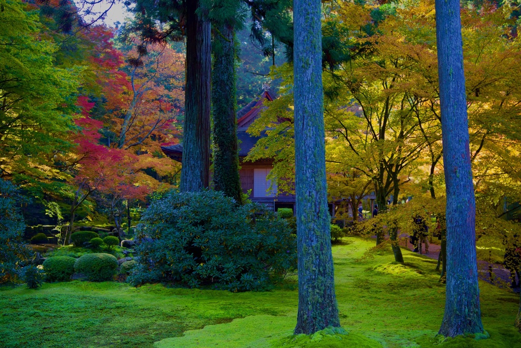 三千院 有清園