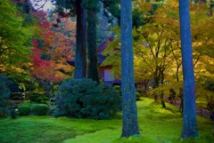 三千院 有清園