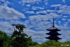 東寺 夏景色