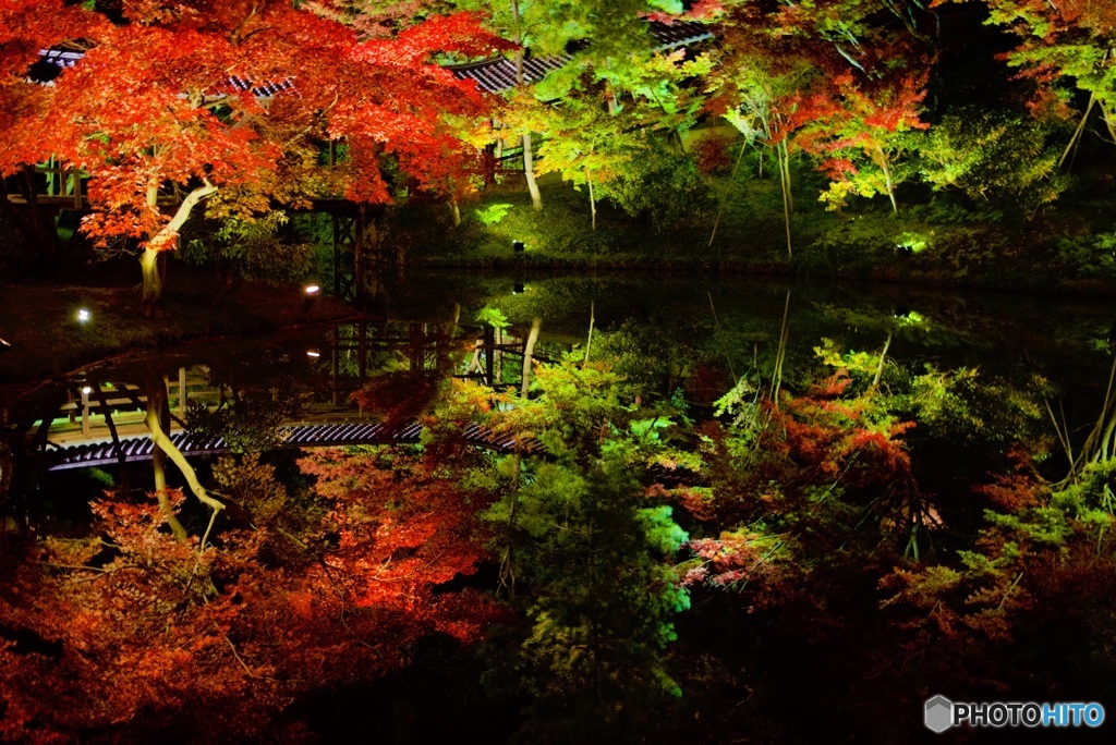 高台寺 臥龍池・水鏡