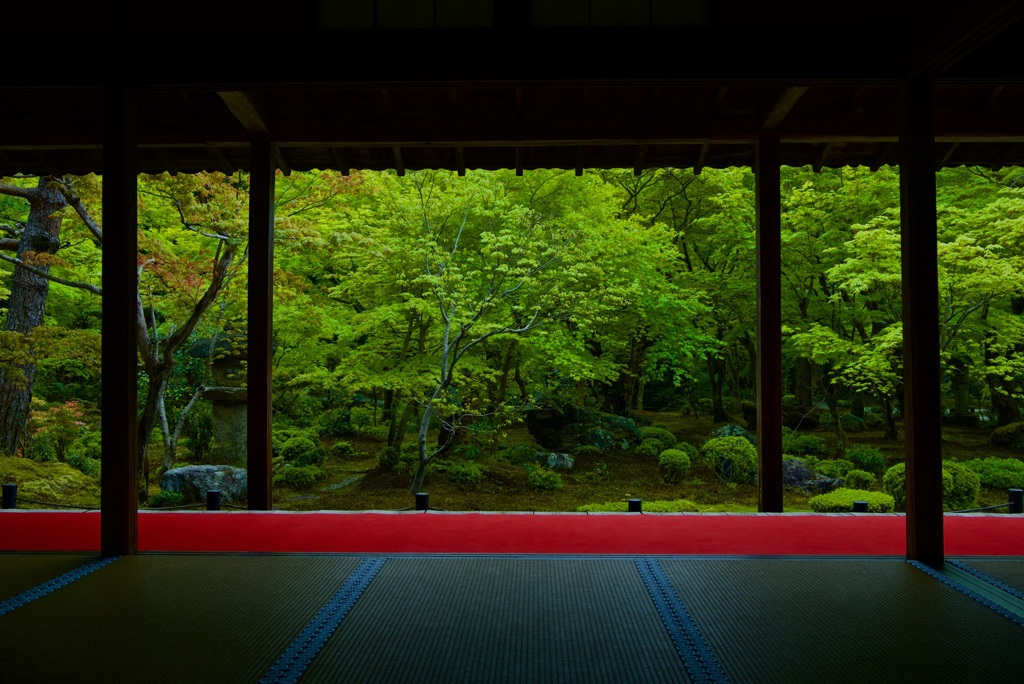 圓光寺 十牛之庭