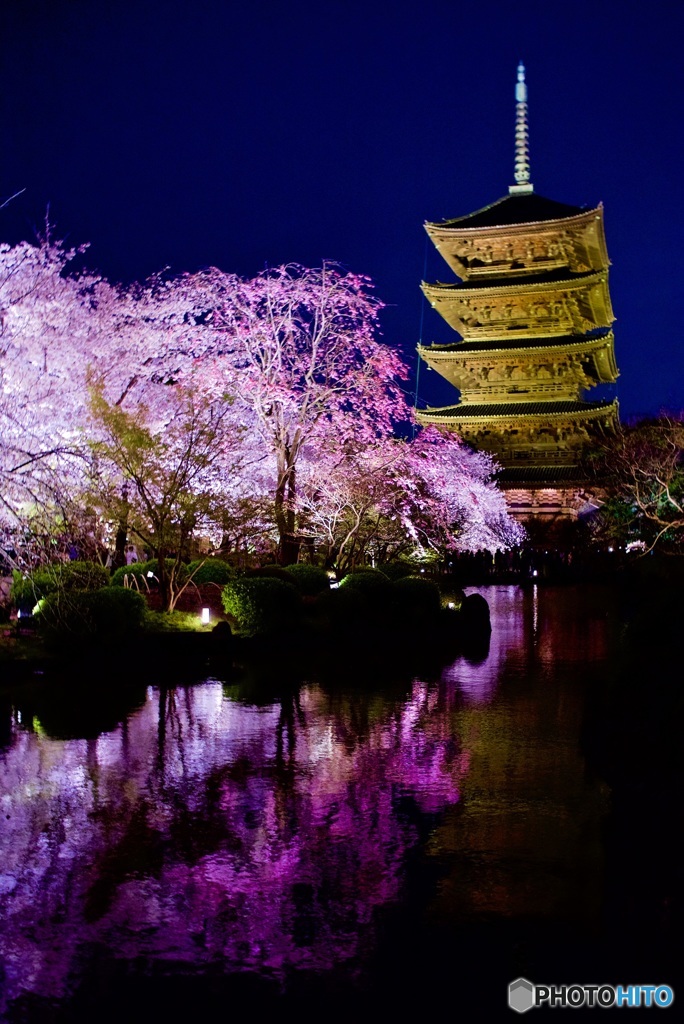 東寺 五重塔