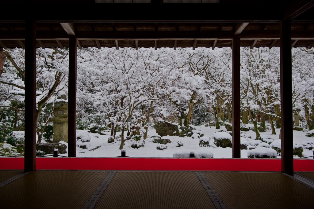 圓光寺 十牛之庭・雪景