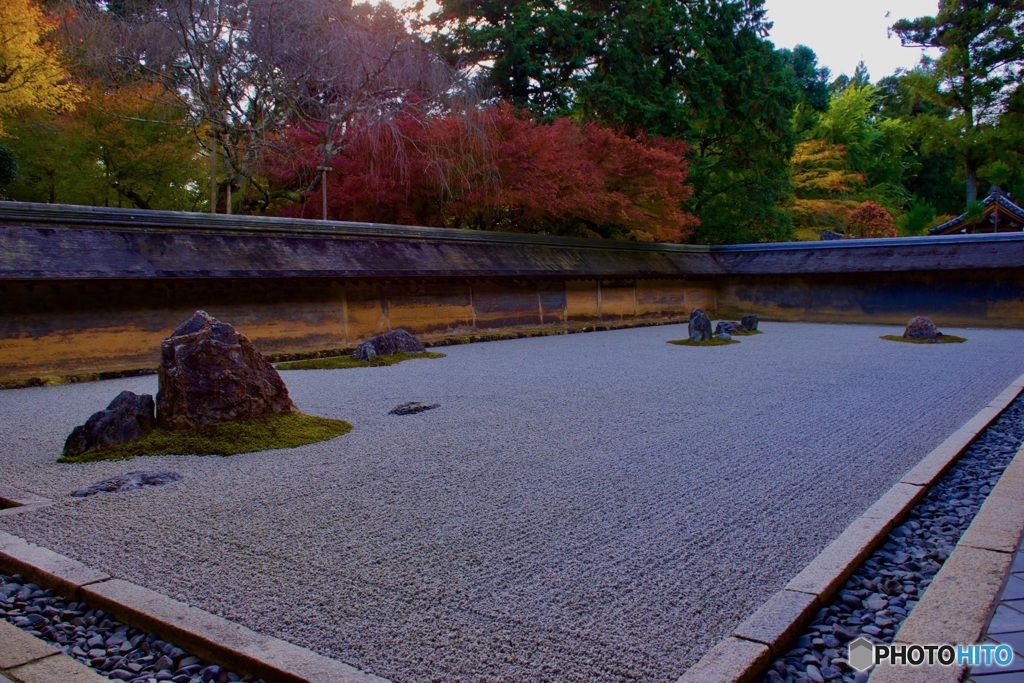 龍安寺 石庭・紅葉