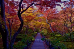 宝筐院 庭園