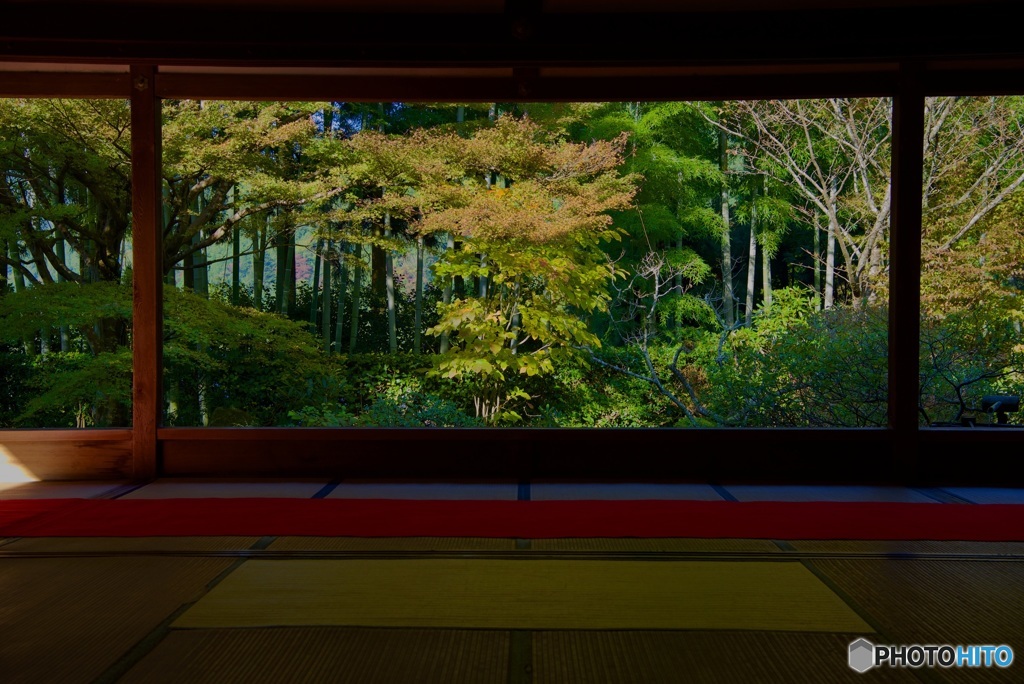 宝泉院 盤桓園