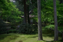 三千院 有清園