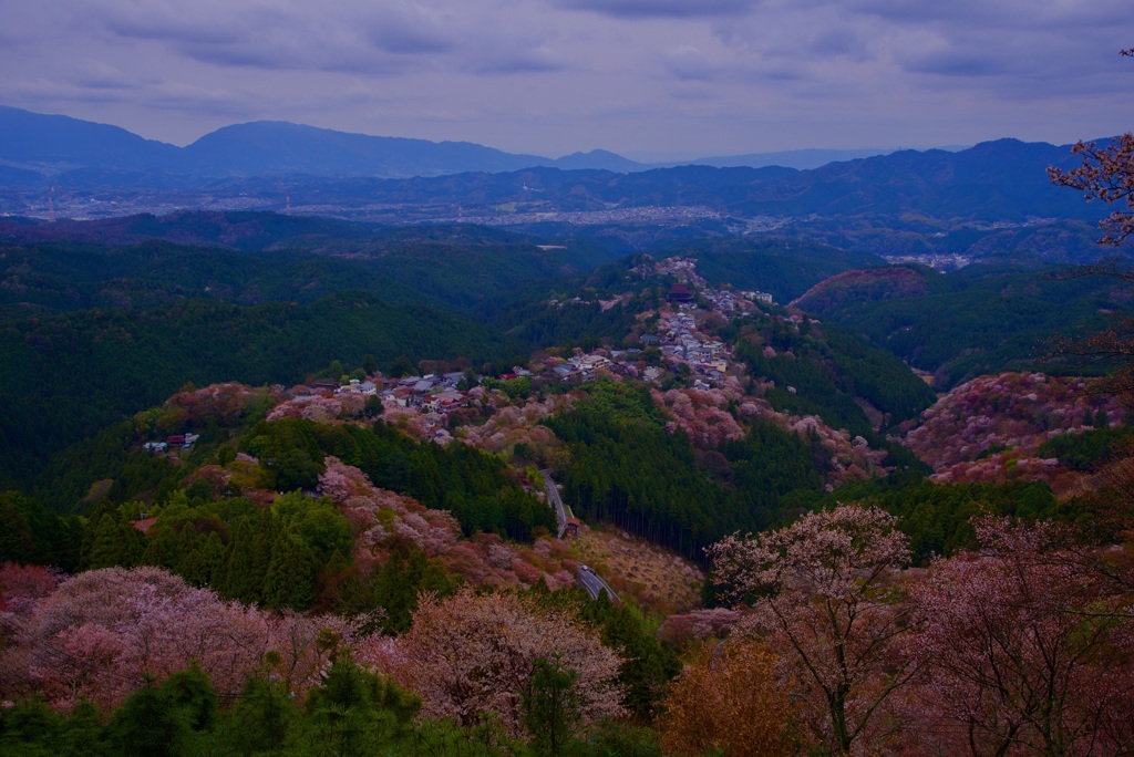 吉野山 花矢倉