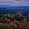 吉野山 花矢倉