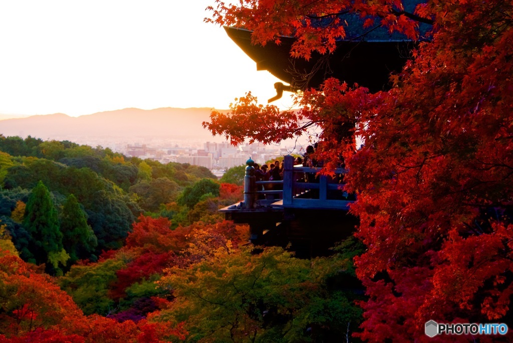 清水寺 舞台・夕景