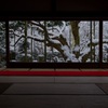 三千院 盤桓園 五葉松