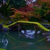 醍醐寺 三宝院庭園