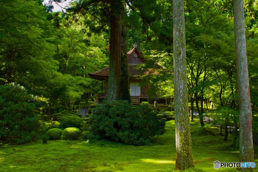 三千院 有清園