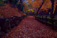 北野天満宮 御土居