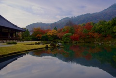 天龍寺 曹源池庭園