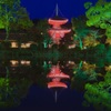 大覚寺 ー真紅の水鏡ー