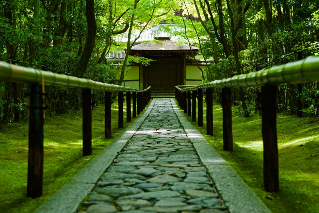 高桐院 参道