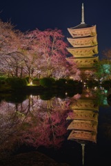 東寺 五重塔