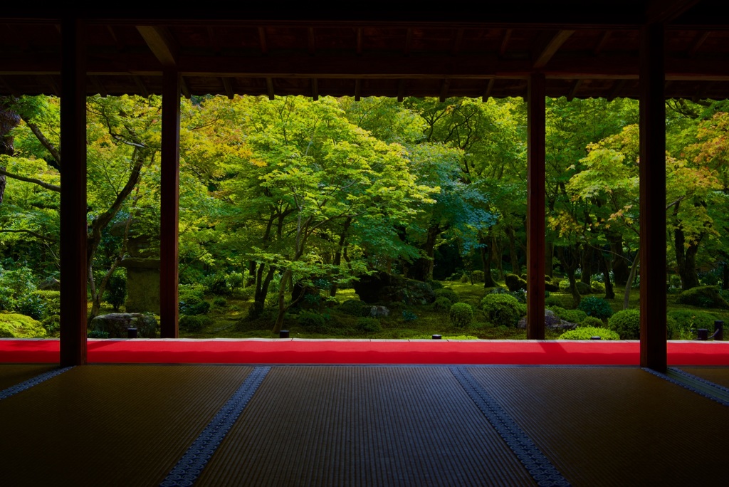 圓光寺 十牛之庭