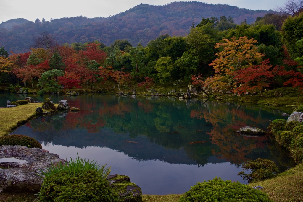 天龍寺 曹源池庭園