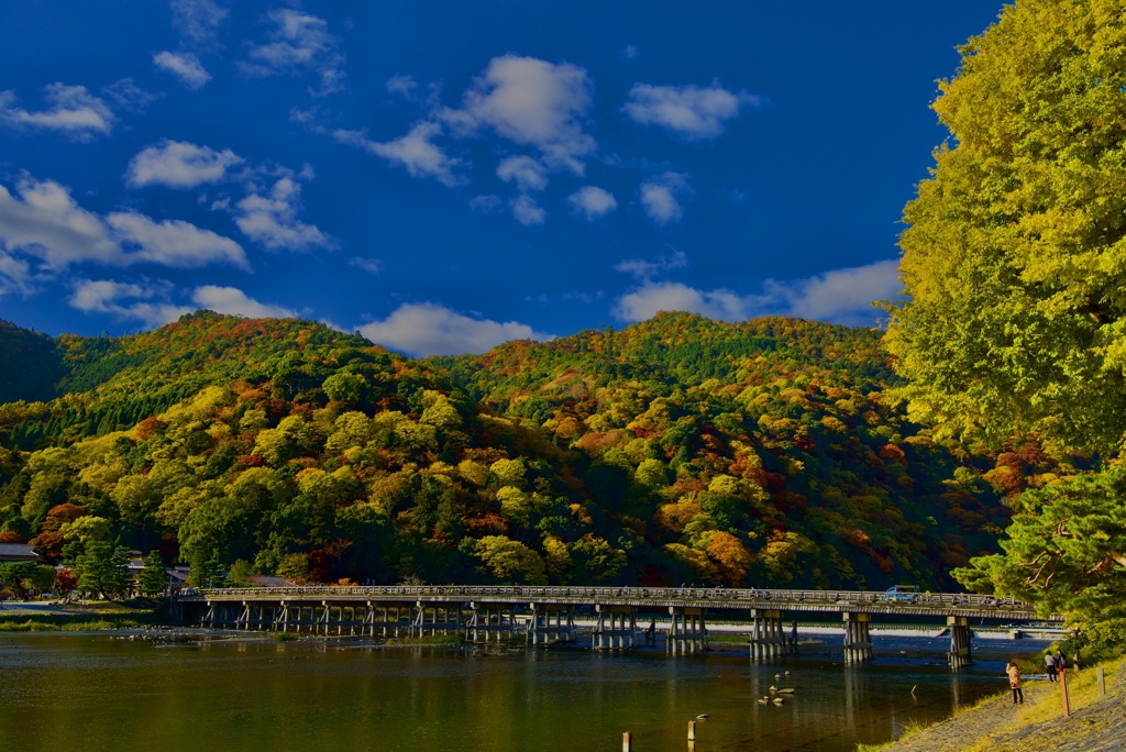 嵐山 渡月橋