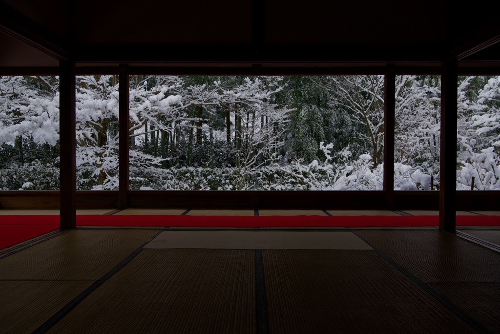 宝泉院 盤桓園・雪景