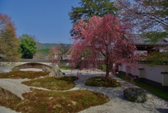 実相院