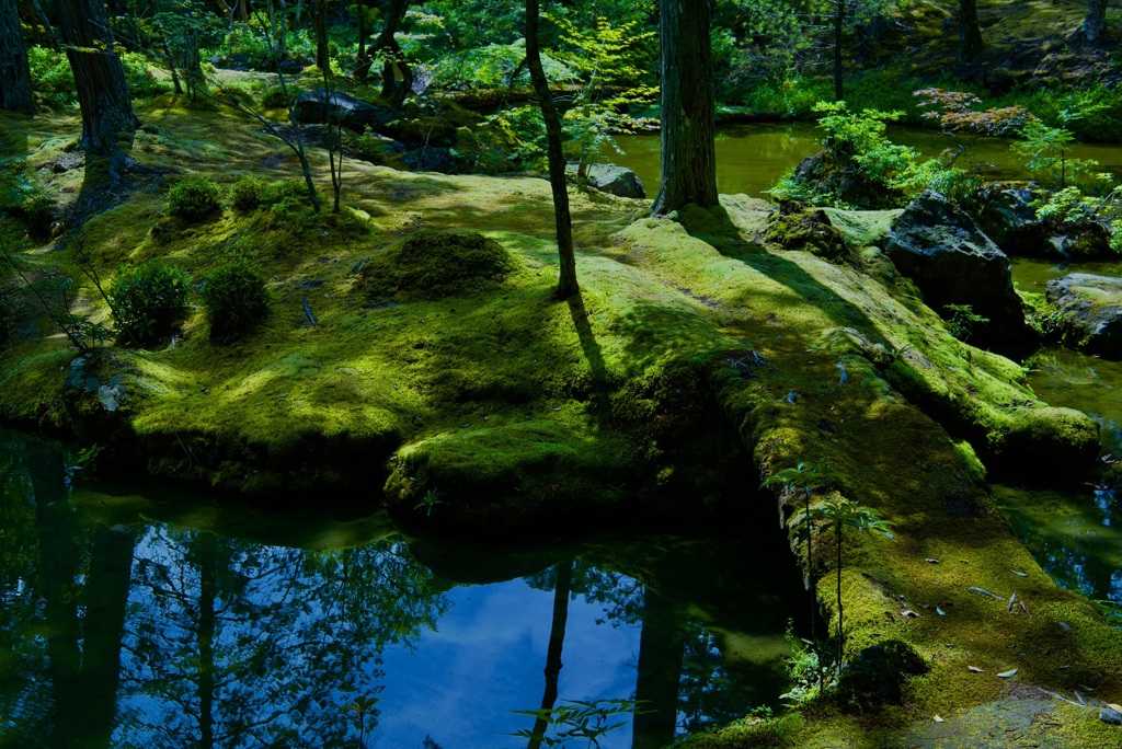 西芳寺(苔寺) 庭園 朝日ヶ島