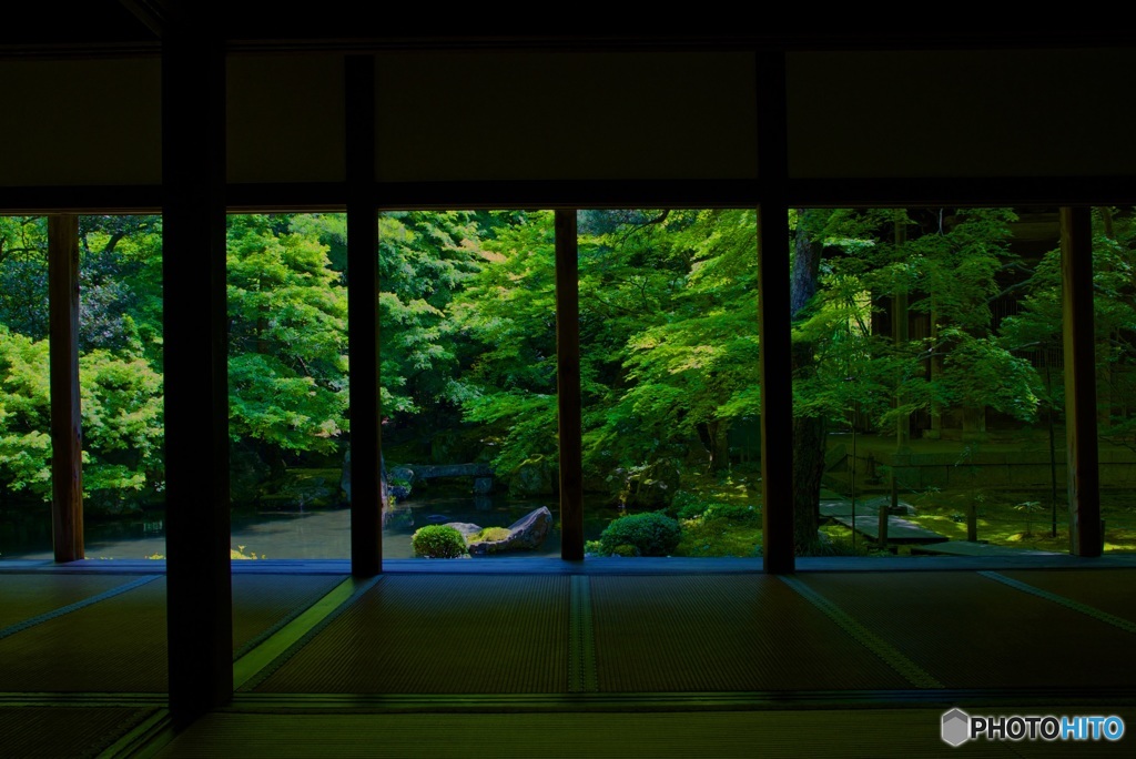 蓮華寺 庭園